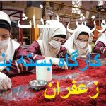 آموزش کاربردی بسته بندی زعفران جامع ترین و کامل ترین نسخه