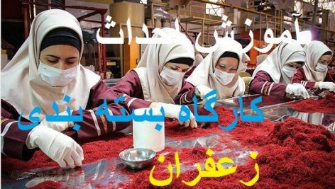 آموزش کاربردی بسته بندی زعفران جامع ترین و کامل ترین نسخه