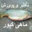 تکثیر و پرورش ماهی کپور جدیدترین و کاملترین نسخه آموزشی