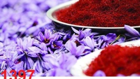 طرح توجیهی زعفران جامع ترین و کاملترین پکیج