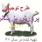 پرورش بز سانان کامل ترین و جامع ترین نسخه