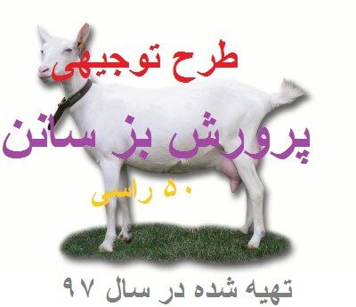 پرورش بز سانان کامل ترین و جامع ترین نسخه 1405 1 پرورش بز سانان