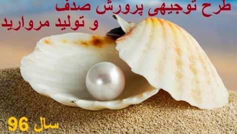 طرح توجیهی پرورش صدف و تولید مروارید کامل ترین و جامع ترین