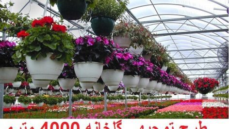 طرح توجیهی پرورش گیاهان زینتی جامع ترین و کامل ترین