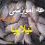 آموزش و پرورش ماهی تیلا پیلا به همراه طرح توجیهی و تصاویر جامع ترین نسخه