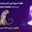 افزونه سریع ترین کش وردپرس نسخه حرفه ای wp fastest cashe