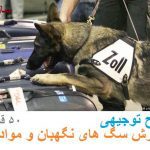 طرح توجیهی پرورش سگ آموزش دیده به ظرفیت 50 قلاده در سال کامل ترین نسخه
