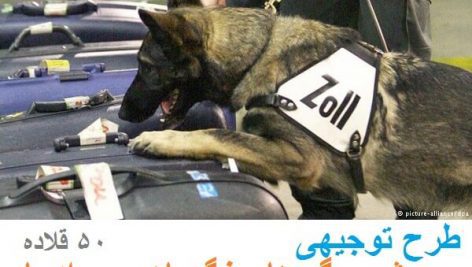 طرح توجیهی پرورش سگ آموزش دیده به ظرفیت 50 قلاده در سال کامل ترین نسخه