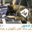 طرح توجیهی پرورش سگ آموزش دیده به ظرفیت 50 قلاده در سال کامل ترین نسخه