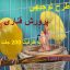 طرح توجیهی پرورش پرندگان زینتی قناری با ظرفیت 200 جفت در سال _کاملترین نسخه