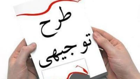 طرح توجیهی کاشت درخت پالونیا جامع ترین و کاملترین نسخه