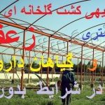 طرح توجیهی احداث گلخانه زعفران و گیاهان دارویی جامع ترین