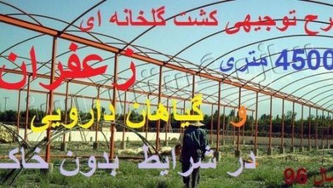 طرح توجیهی احداث گلخانه زعفران و گیاهان دارویی جامع ترین