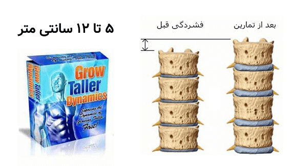 دانلود فایل گروتالرداینامیک رشد قد 