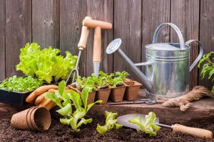 نمونه سوالات باغبانی فنی و حرفه ای 