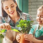 نمونه سوالات پرورش دهنده گیاهان آپارتمانی (اصل سوال+جزوه) فنی و حرفه ای جامع ترین