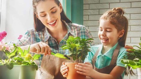 نمونه سوالات پرورش دهنده گیاهان آپارتمانی (اصل سوال+جزوه) فنی و حرفه ای جامع ترین