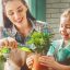 نمونه سوالات پرورش دهنده گیاهان آپارتمانی (اصل سوال+جزوه) فنی و حرفه ای جامع ترین