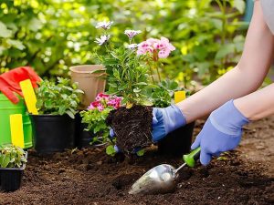 نمونه سوالات باغبانی فنی و حرفه ای 