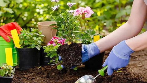 نمونه سوالات باغبانی فنی و حرفه ای جامع ترین نسخه 1405