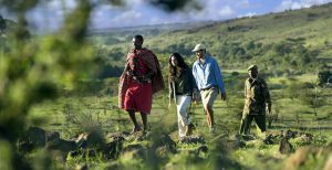 ecotourism or nature 01
