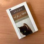 کافکا در کرانه (هاروکی موراکامی)