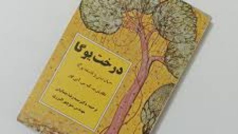 دانلود کتاب درخت یوگا (ب.ک.س. آین گار) جامع ترین و کاربردی ترین