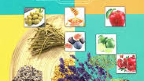 دانلود کتاب طب الائمه ابن بسطام جامع ترین نسخه موجود 1405