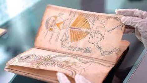 دانلود کتاب پزشکی نامه (طب سنتی خطی) جامع ترین نسخه