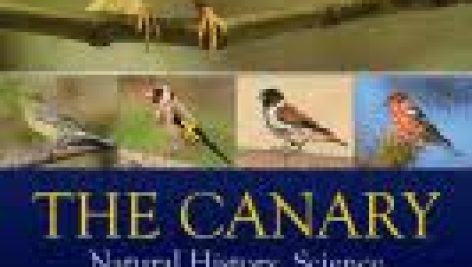 قناری : تاریخ طبیعی، علم و اهمیت فرهنگی The Canary : Natural History, Science and Cultural Significance