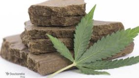 حشیش و خات در کشف مواد مخدر: خط لوله کشف و سیستم اندوکانابینوئید Cannabis and Khat in Drug Discovery: The Discovery Pipeline and the Endocannabinoid System