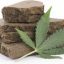 حشیش و خات در کشف مواد مخدر: خط لوله کشف و سیستم اندوکانابینوئید Cannabis and Khat in Drug Discovery: The Discovery Pipeline and the Endocannabinoid System